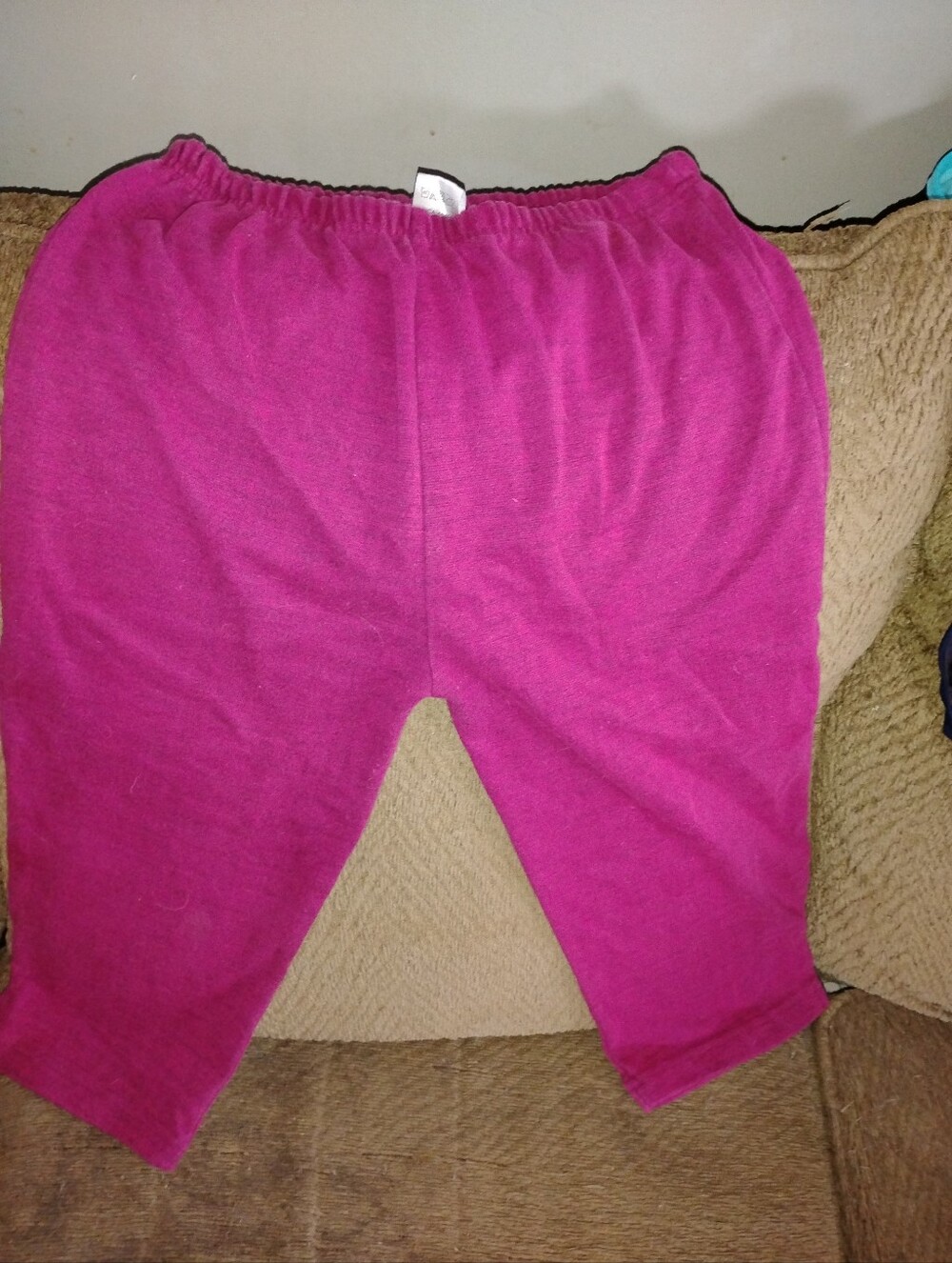 CB casual Raspberry Knit Pull-On Pants
